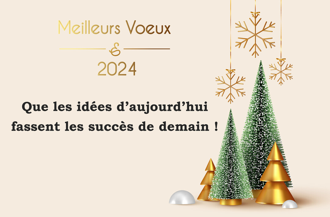 Une composition graphique pour les vœux 2025 montrant des sapins stylisés et des flocons dorés sous un message de succès.