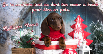 Aperçu de la carte : « Je te souhaite tout ce dont ton cœur a besoin... »