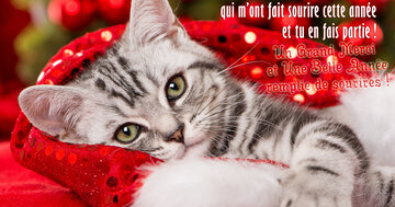 Aperçu de la carte : « Je tenais à remercier les personnes qui m'ont fait sourire cette année... »