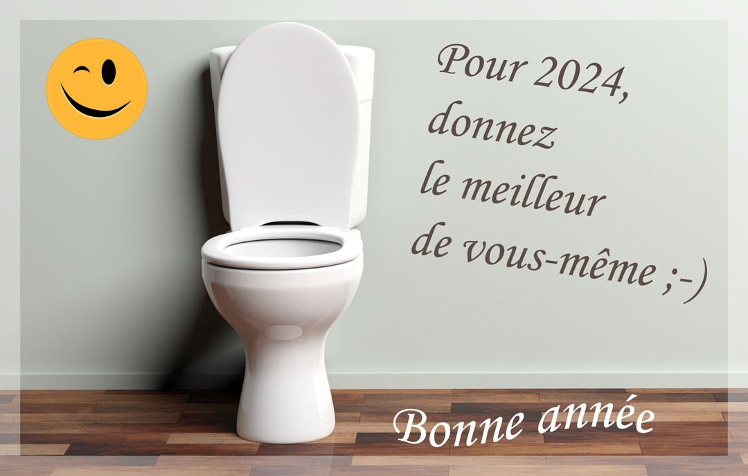 Une cuvette de toilettes blanche est posée sur un parquet, avec un smiley clin d'œil et un texte de vœux humoristique pour 2025.