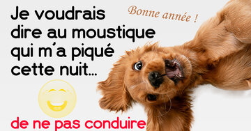 Aperçu de la carte : « Je voudrais dire au moustique qui m'a piqué cette nuit... »