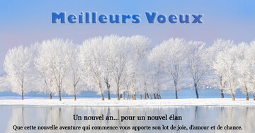 Aperçu de la carte : « Un nouvel an pour un nouvel élan, que cette aventure vous apporte joie, amour, chance... »