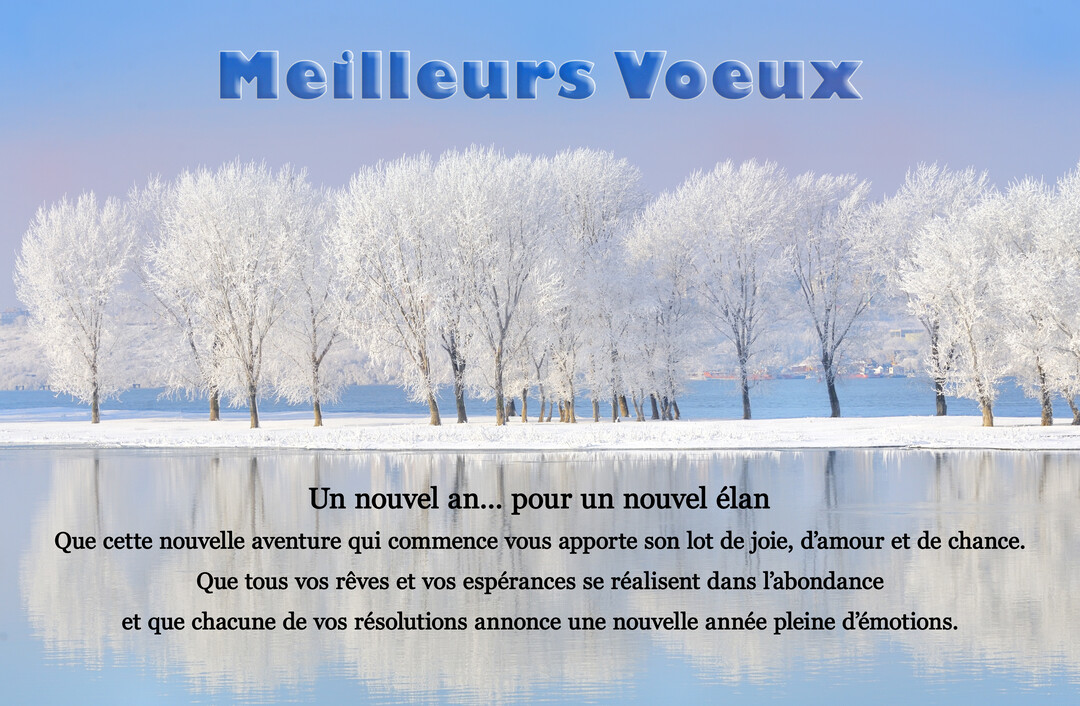 Paysage d'hiver serein avec une rangée d'arbres couverts de givre blanc, se reflétant parfaitement dans l'eau calme d'un lac sous un ciel bleu.