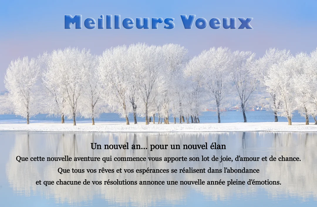 Paysage d'hiver serein avec une rangée d'arbres couverts de givre blanc, se reflétant parfaitement dans l'eau calme d'un lac sous un ciel bleu.