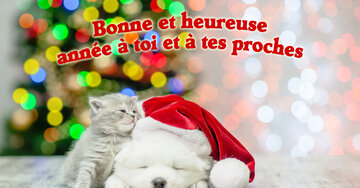 Aperçu de la carte : « Je te souhaite d'être en bonne santé, heureux/se et aimé/e pour la nouvelle année... »