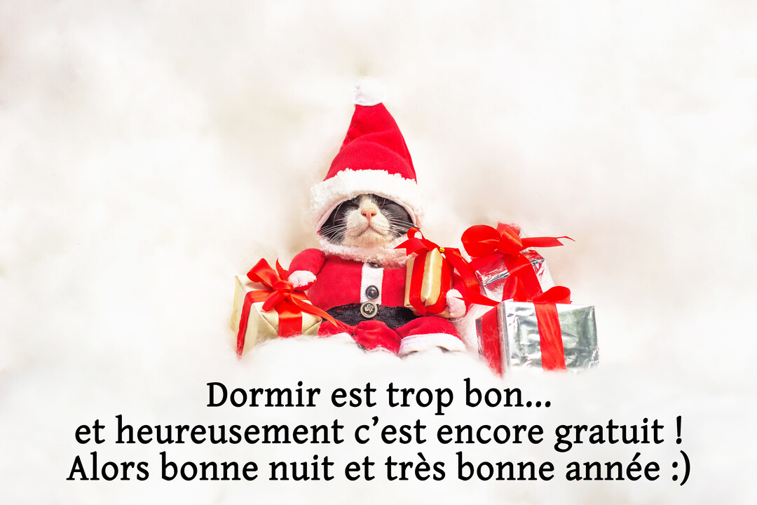 Un chat bicolore portant un costume de Père Noël est affalé et semble dormir au milieu de petits cadeaux, sur un fond blanc duveteux.