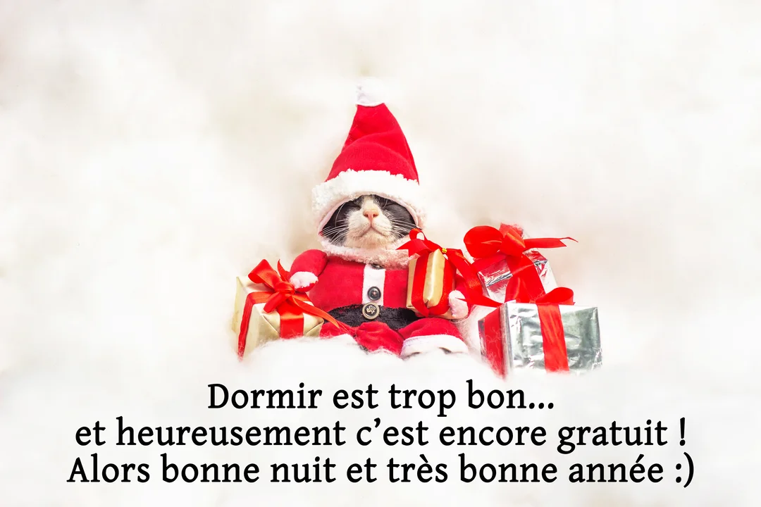 Un chat bicolore portant un costume de Père Noël est affalé et semble dormir au milieu de petits cadeaux, sur un fond blanc duveteux.