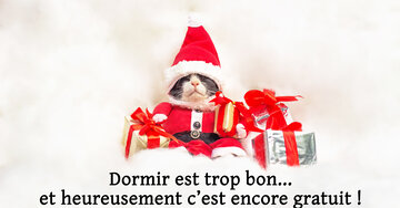 Aperçu de la carte : « Dormir est trop bon... et heureusement c'est encore gratuit !... »