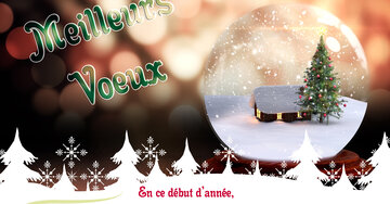 Aperçu de la carte : « En ce début d'année, nous vous renouvelons toute notre affection et nos vœux... »