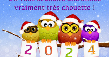 Aperçu de la carte : On vous souhaite une année vraiment très chouette ! 2025