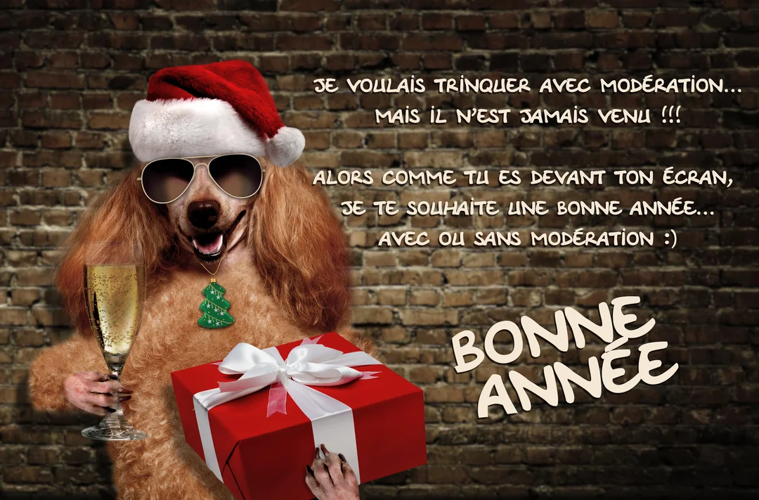 Un caniche anthropomorphe coiffé d'un bonnet de Noël porte des lunettes de soleil, tient une coupe de champagne et un cadeau.