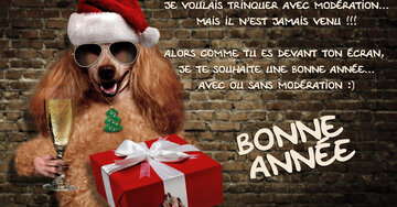 Aperçu de la carte : « Je voulais trinquer avec Modération... mais il n'est jamais venu ! ... »