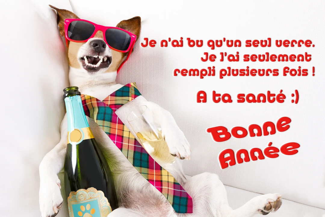 Un chien de race Jack Russell, déguisé pour la fête, est allongé avec une bouteille et une coupe de champagne, souriant à l'objectif.