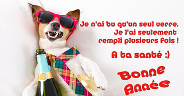 Aperçu de la carte : « Je n'ai bu qu'un seul verre. Je l'ai seulement rempli plusieurs fois !... »