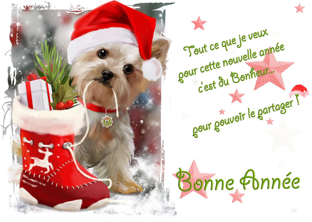Illustration festive d'un mignon chiot Yorkshire avec un bonnet de Père Noël, à côté d'une botte rouge remplie de cadeaux et de houx.