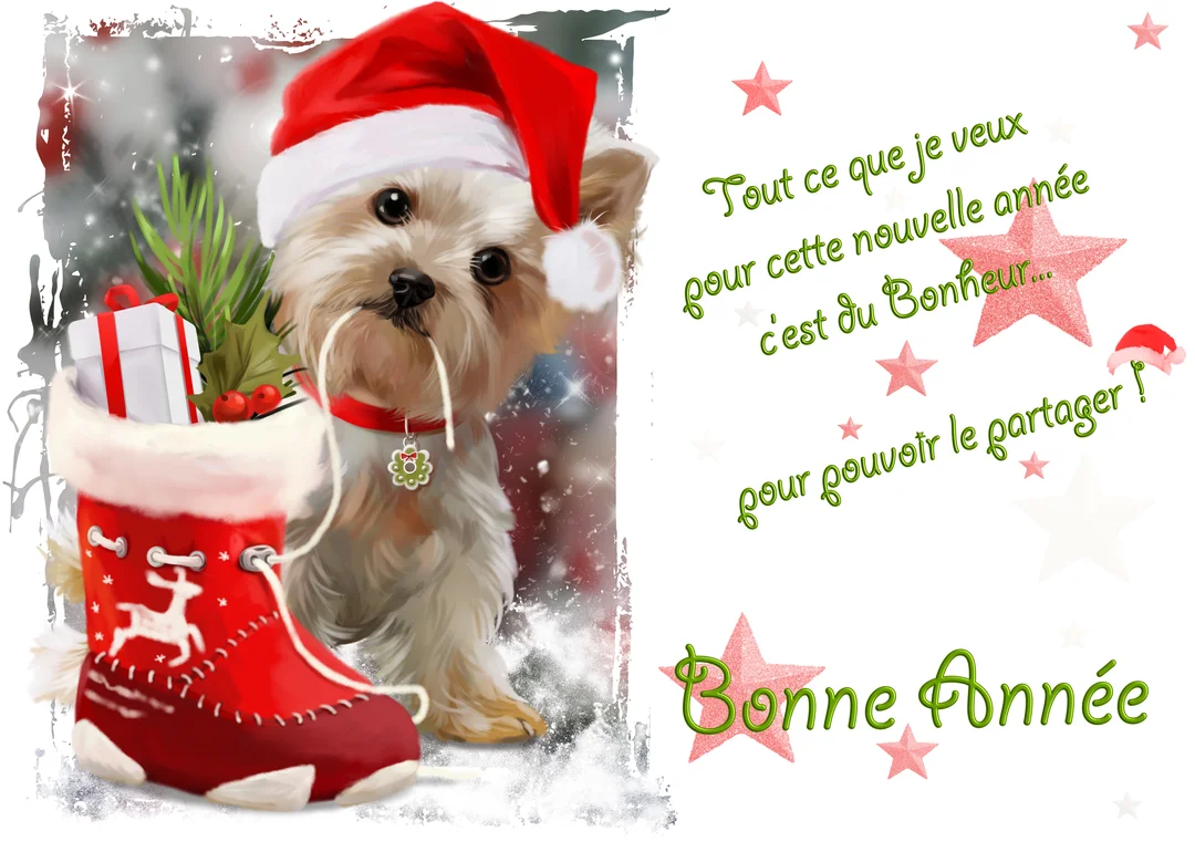 Illustration festive d'un mignon chiot Yorkshire avec un bonnet de Père Noël, à côté d'une botte rouge remplie de cadeaux et de houx.