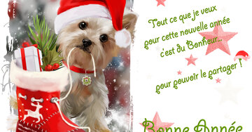 Aperçu de la carte : « Tout ce que je veux, c'est du bonheur pour pouvoir le partager... »