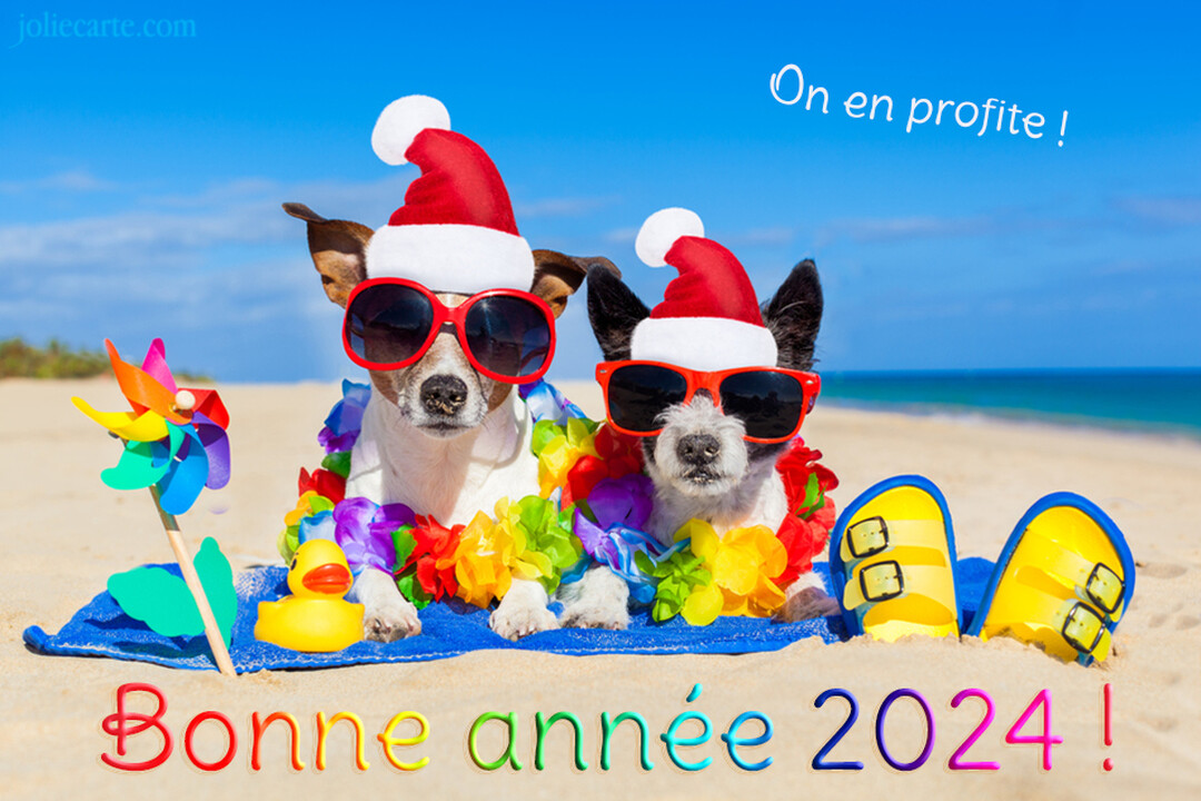 Deux chiens complices sont assis sur une plage ensoleillée, portant des bonnets de Noël, des lunettes de soleil et des colliers de fleurs.