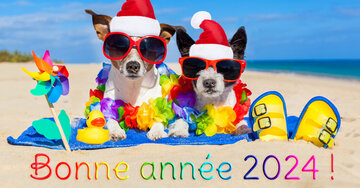 Aperçu de la carte : Bonne année 2025  ! On en profite !