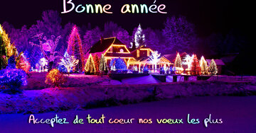 Aperçu de la carte : « Acceptez de tout coeur nos voeux les plus chaleureux pour une année... »