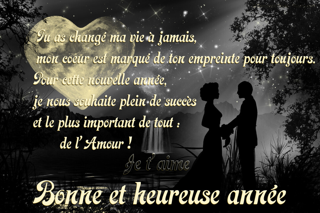 Scène nocturne en noir et blanc d'un couple se tenant la main sous un ciel étoilé avec une lune en forme de cœur.