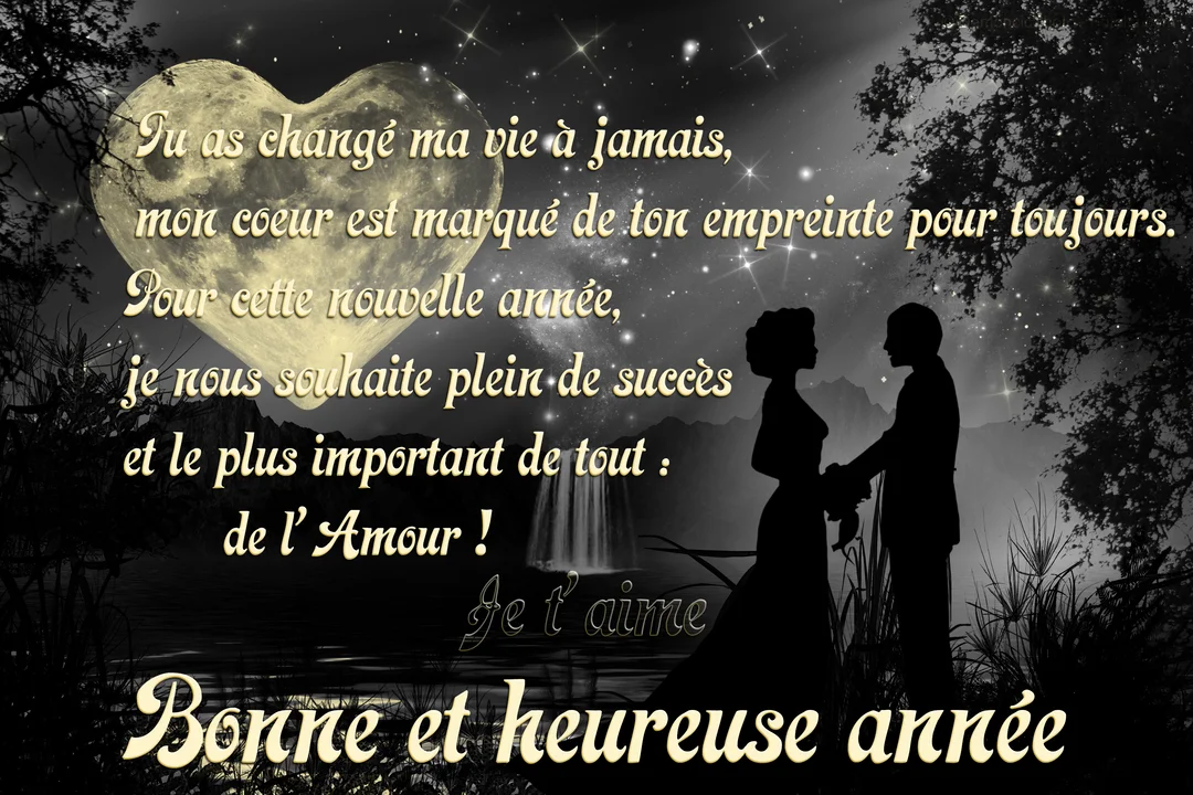 Scène nocturne en noir et blanc d'un couple se tenant la main sous un ciel étoilé avec une lune en forme de cœur.