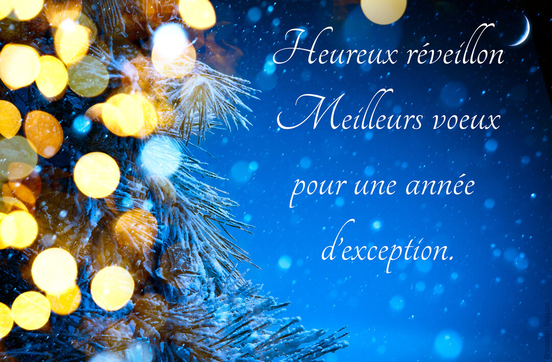 Une branche de sapin enneigée est illuminée par des lumières dorées sur un fond de ciel nocturne bleu avec des flocons de neige.