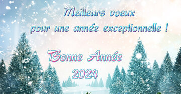 Aperçu de la carte : Meilleurs voeux
pour une année exceptionnelle ! Bonne année 2025