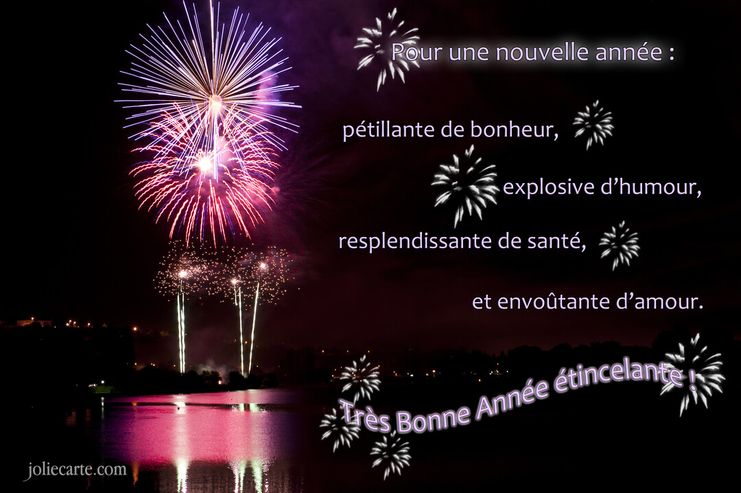 Une photographie nocturne montrant un grand feu d'artifice coloré explosant dans le ciel noir au-dessus d'un plan d'eau et d'une ville.