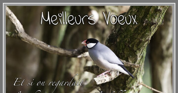 Aperçu de la carte : « Et si on regardait les choses sous un angle différent... »