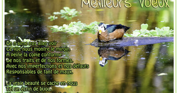 Aperçu de la carte : « Un poème sur la beauté intérieure qui se cache en nous, au-delà des apparences... »