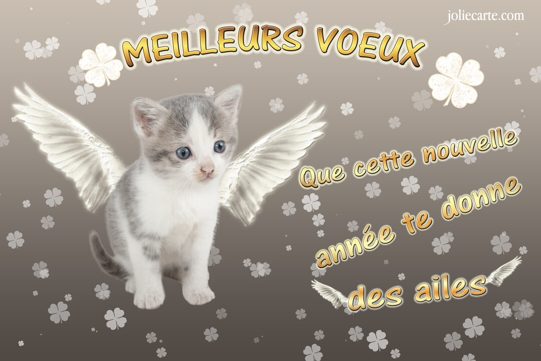 Un mignon chaton gris et blanc avec des ailes d'ange est assis sur un fond marron décoré de trèfles et du texte 'Meilleurs voeux'.