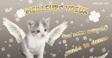 Aperçu de la carte : Meilleurs voeux. Que cette nouvelle année te donne des ailes.