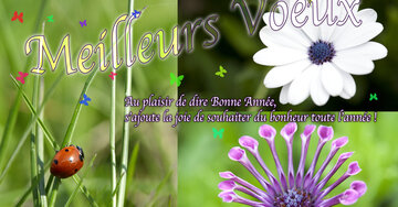 Aperçu de la carte : « Au plaisir de dire Bonne Année, s'ajoute la joie de souhaiter du bonheur... »
