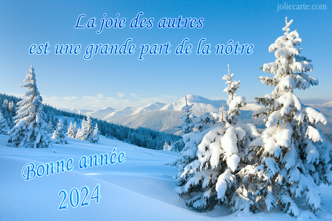 Paysage hivernal ensoleillé avec des sapins chargés de neige au premier plan et une chaîne de montagnes enneigées à l'horizon sous un ciel bleu.