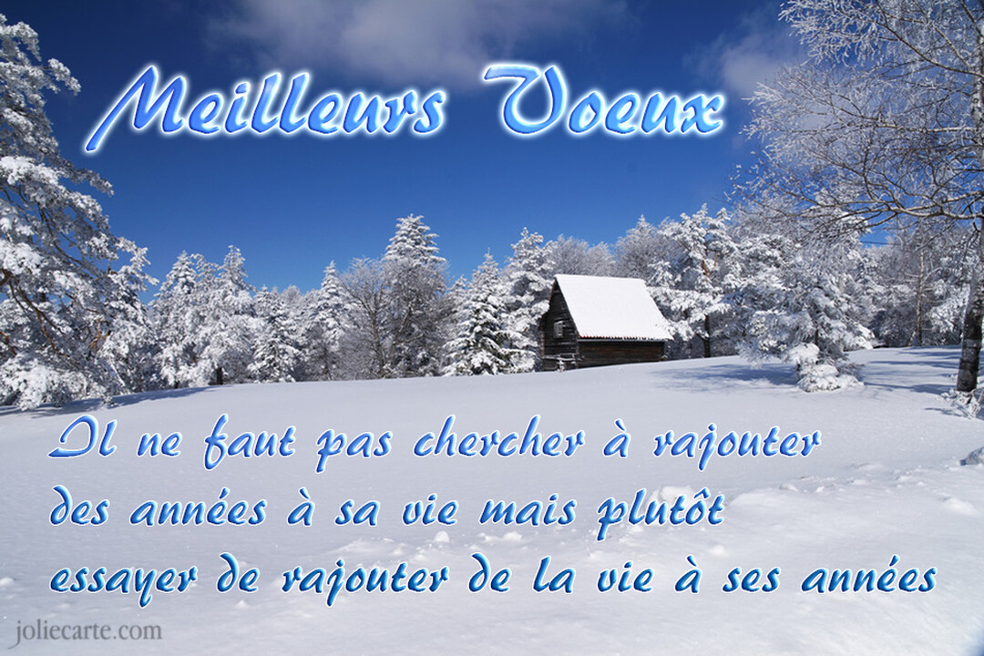Un paysage hivernal ensoleillé avec une forêt et une cabane couvertes de neige, surmonté du texte 'Meilleurs Vœux' et d'une citation en bleu.