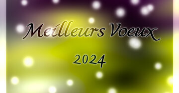 Aperçu de la carte : Meilleurs voeux 2025