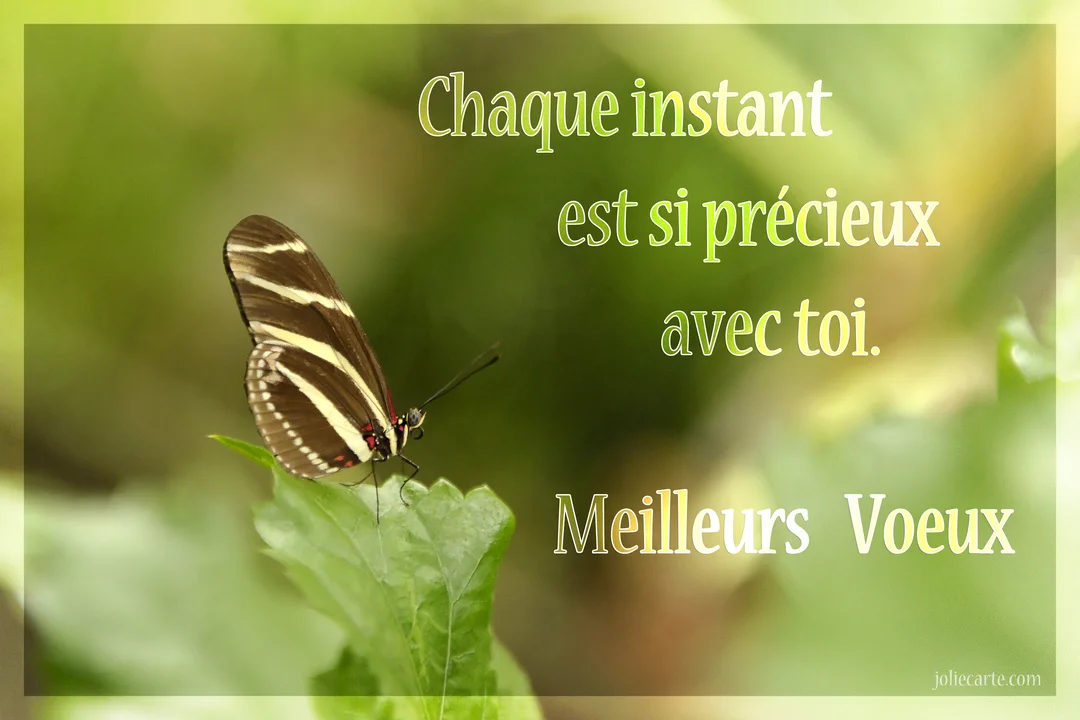 Un papillon aux ailes marron et crème se pose délicatement sur une feuille verte, sur un fond végétal et lumineux en flou artistique.