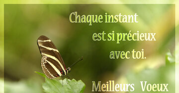Aperçu de la carte : Chaque instant est si précieux avec toi. Meilleurs voeux.