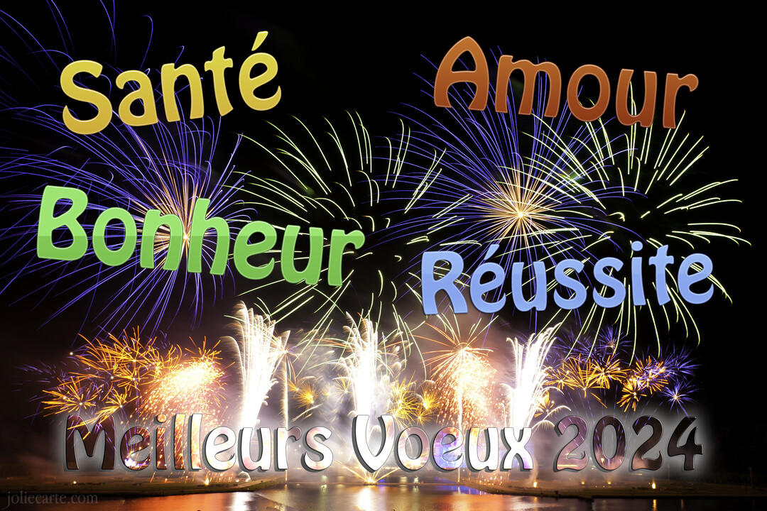 Sur un fond de ciel nocturne, des feux d'artifice multicolores illuminent des vœux de santé, amour, bonheur et réussite pour 2025.