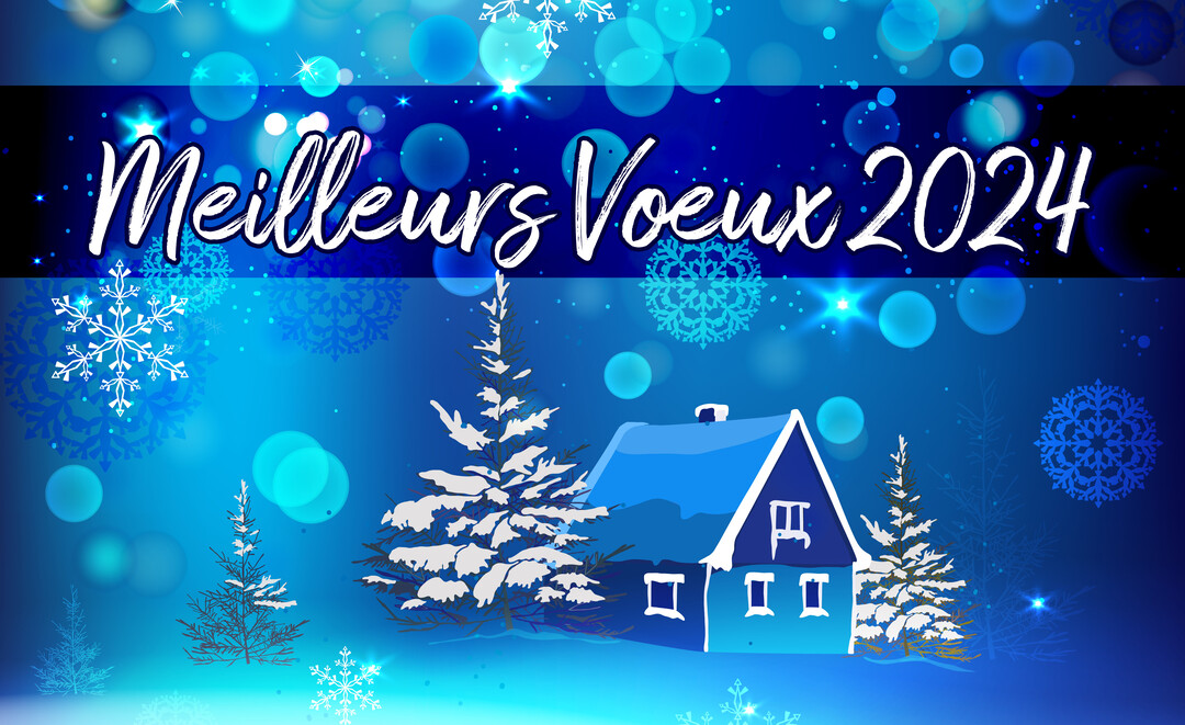 Scène hivernale nocturne illustrée avec un chalet et des sapins enneigés, surmontée du texte "Meilleurs Voeux 2025" sur un fond bleu scintillant.