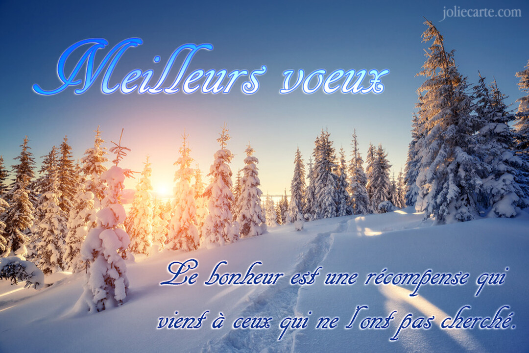 Une photo d'un paysage hivernal avec une forêt de sapins enneigés, un chemin dans la neige et un soleil bas à l'horizon.