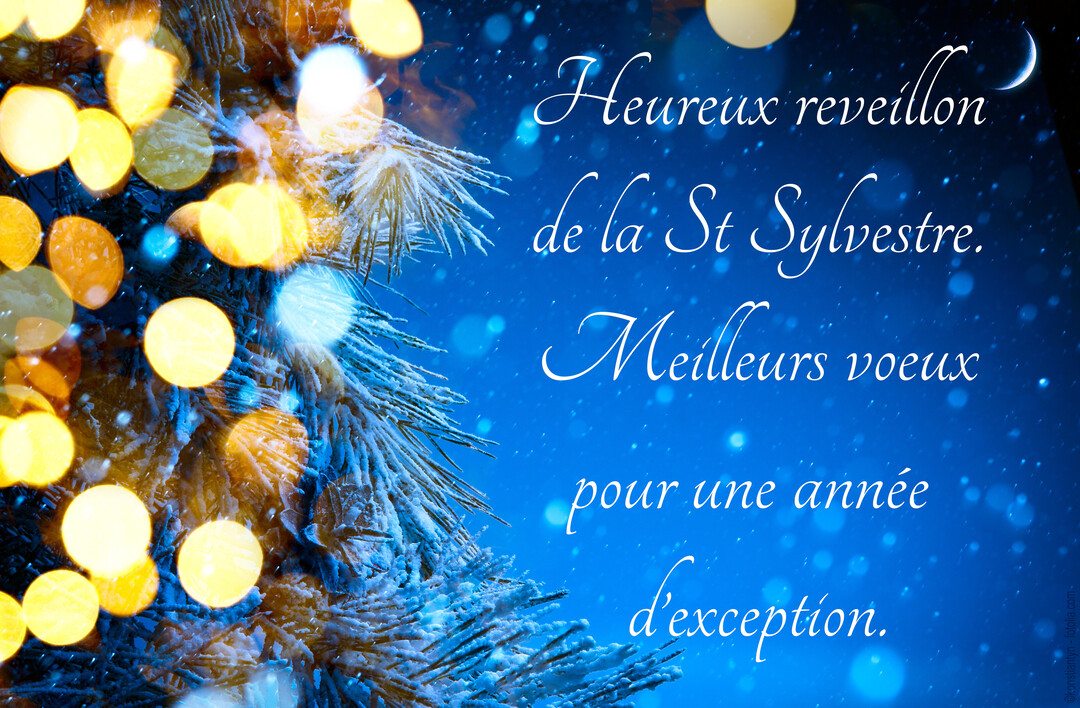 Une branche de sapin couverte de neige et illuminée par des lumières jaunes en bokeh, sur un fond bleu nuit avec un croissant de lune.