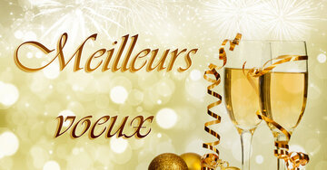 Aperçu de la carte : Meilleurs voeux