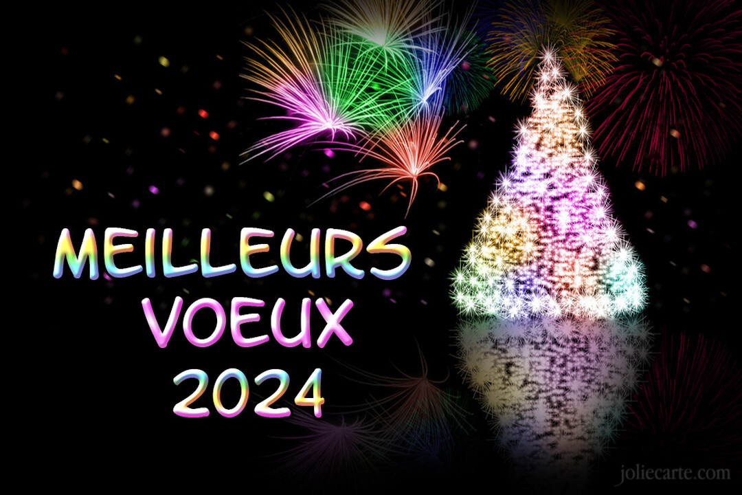 Une animation festive sur fond noir avec le texte 'Meilleurs Vœux 2025', des feux d'artifice qui explosent et un sapin lumineux scintillant.