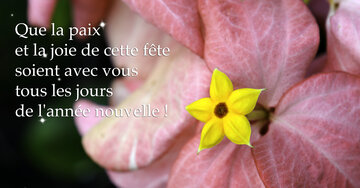 Aperçu de la carte : « Bonne année 2025. Que la paix et la joie soient avec vous... »