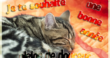 Aperçu de la carte : Je te souhaite une bonne année pleine de douceur.