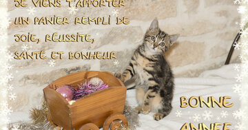 Aperçu de la carte : « Je viens t'apporter un panier rempli de joie, réussite, santé et bonheur... »