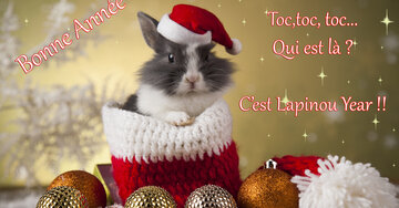 Aperçu de la carte : « Toc,toc, toc... Qui est là ? C'est Lapinou Year... »