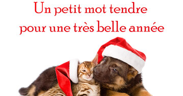 Aperçu de la carte : Un petit mot tendre 
pour une très belle année.